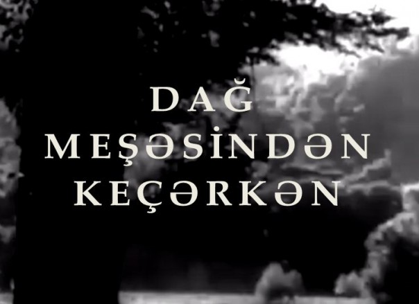 DAĞ MEŞƏSİNDƏN KEÇƏRKƏN