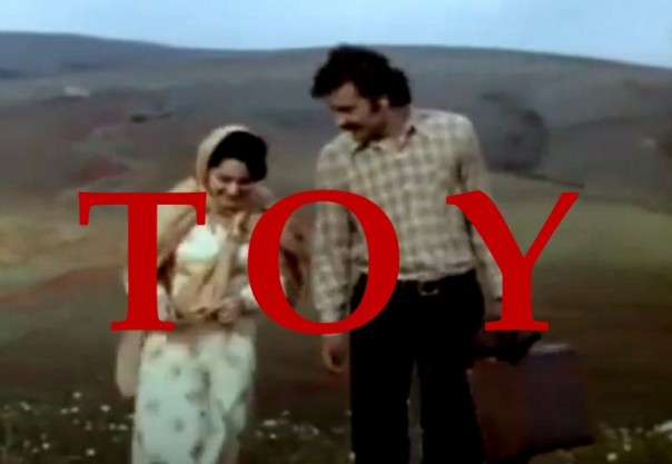 TOY