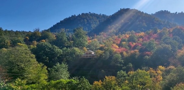 AZƏRBAYCANIN CƏNUB BÖLGƏSİNDƏ PAYIZ