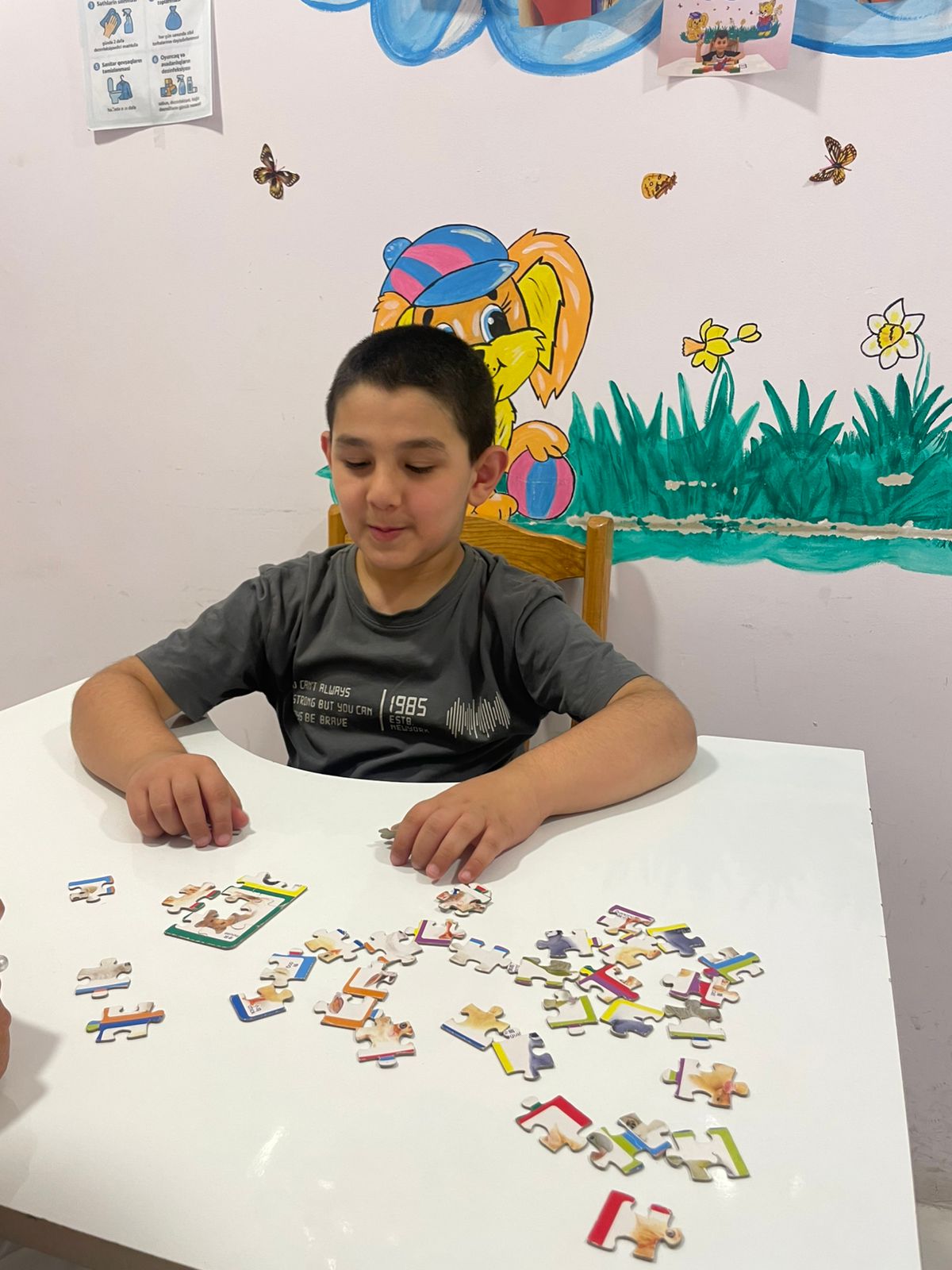 Şəkidə sosial reabilitasiya mərkəzi